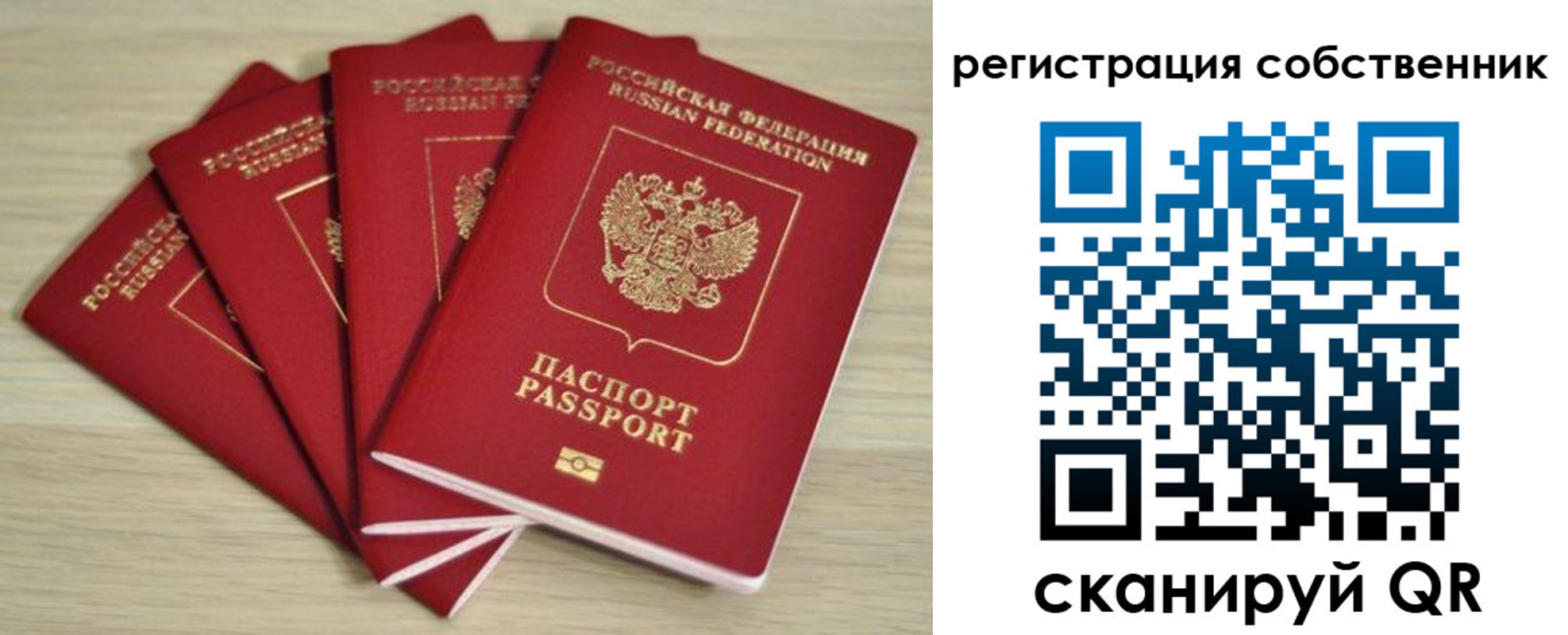 прописка регистрация в Ярославской области
